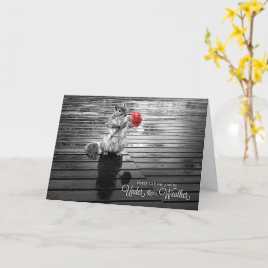 Carte Get Well Squirrél with Carnation Black and White (Fleur jaune)