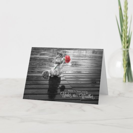Carte Get Well Squirrél with Carnation Black and White (Devant)