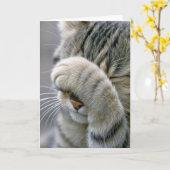 Carte Getting Old Birthday Humor Tabby Cat (Fleur jaune)