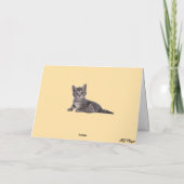 Carte Giant Tabby de la Maison Blanche (Dos)