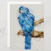 Carte Gift For Family | Beautiful Birds | Funny Parrot  (Devant / Derrière)