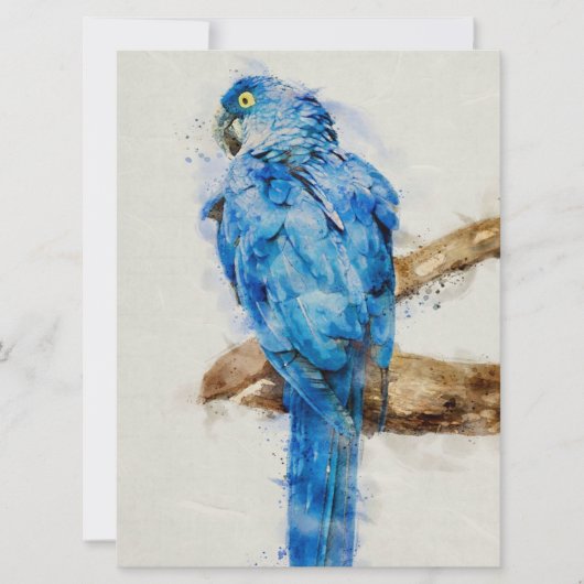 Carte Gift For Family | Beautiful Birds | Funny Parrot  (Devant)