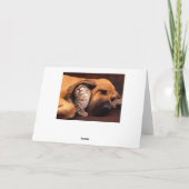 Carte Gimme shelter... (Dos)