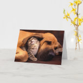 Carte Gimme shelter... (Fleur jaune)