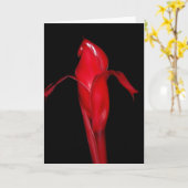 Carte Gingembre de torche (Fleur jaune)