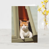 Carte Gingembre et chat blanc assis à la fenêtre (Fleur jaune)