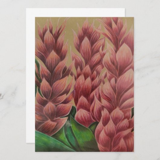 Carte gingembre rose (vierge à l'intérieur) (Devant / Derrière)