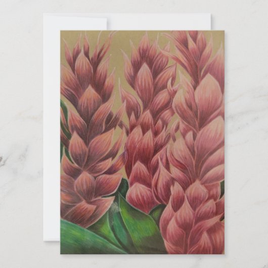 Carte gingembre rose (vierge à l'intérieur) (Devant)