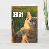 Carte Ginger Cat Dit Bonjour ! (Devant)