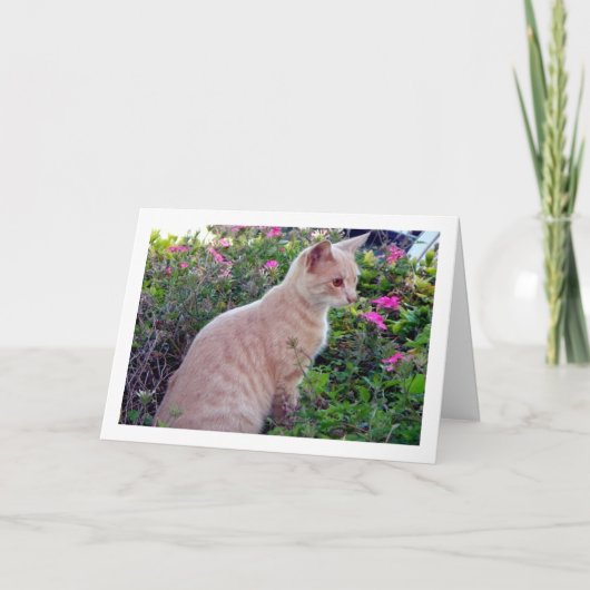 Carte Ginger Kitten en Floral (Devant)