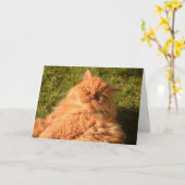 CARTE GINGER RED CAT "CHILL" BONJOUR N'IMPORTE QUELLE CA (Fleur jaune)