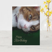 Carte Ginger Tabby Chat Personnalisable Joyeux Anniversa (Fleur jaune)