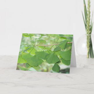 Carte ginkgo