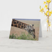 Carte Girafe, Serengeti (Fleur jaune)