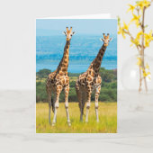 Carte Girafes dans la savane, Ouganda (Fleur jaune)