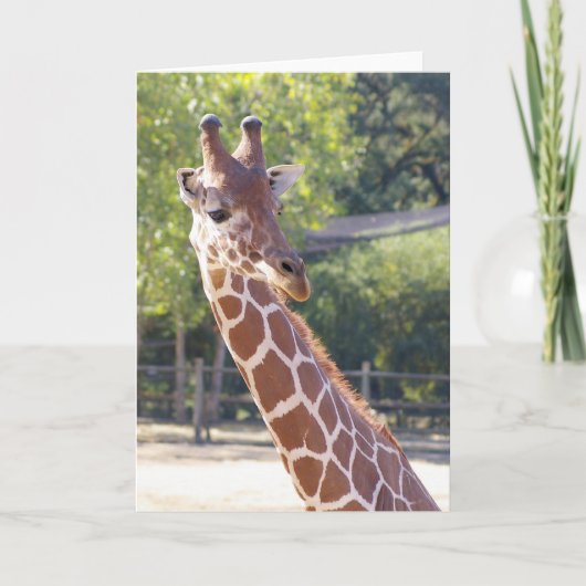 Carte Giraffe (Devant)