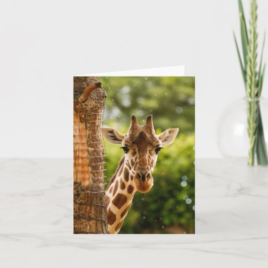 Carte Giraffe (Devant)
