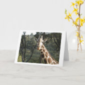 Carte Giraffe (Fleur jaune)