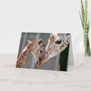 Carte Giraffe and Baby note card