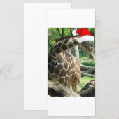 Carte Giraffe de Noël (Devant / Derrière)