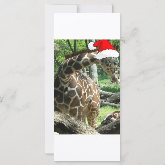Carte Giraffe de Noël (Devant)