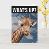 CARTE GIRAFFE GREETING CARD, QU'Y A-T-IL ? (Fleur jaune)