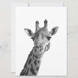 Carte Giraffe noire et blanche