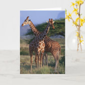 Carte Giraffe réticulée 2 (Fleur jaune)