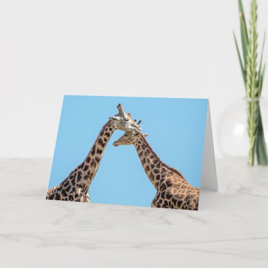 Carte Giraffes accaparant personnalisées (Devant)