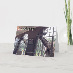 Carte Giraffes d'anniversaire