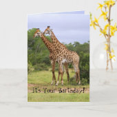 Carte Giraffes d'anniversaire "Go Wild" (Fleur jaune)