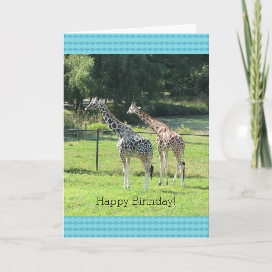 Carte Giraffes de pâturage Salutations d'anniversaire (Devant)