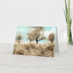 Carte Glace d'hiver, tempête de verglas, photographie de