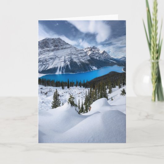 Carte Glace et neige | Lac Peyto, Rocheuses canadiennes (Devant)