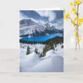 Carte Glace et neige | Lac Peyto, Rocheuses canadiennes (Fleur jaune)