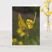 Carte Glacier Lilly 09 (Fleur jaune)