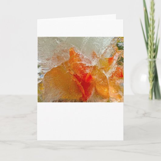 Carte Gladioli dans la glace, (Devant)