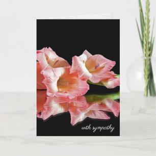 Carte Gladiolus rose sur la Sympathie noire