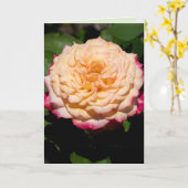 Carte Gloire de la rose (Fleur jaune)