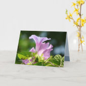 Carte Gloire du matin 1 (Fleur jaune)