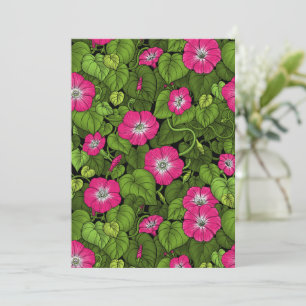 Carte Gloire du matin en rose et vert