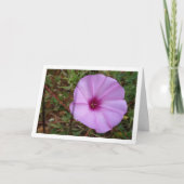 Carte Gloire du Matin Pourpre, Fleur Sauvage de Liseron  (Devant)