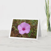 Carte Gloire du matin violette, Fleur sauvage de liseron (Devant)