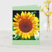 Carte Gloire du Tournesol (Fleur jaune)