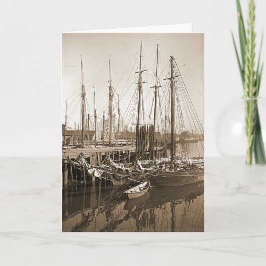 Carte Gloucester Massachusetts Wharf 1905 (Devant)
