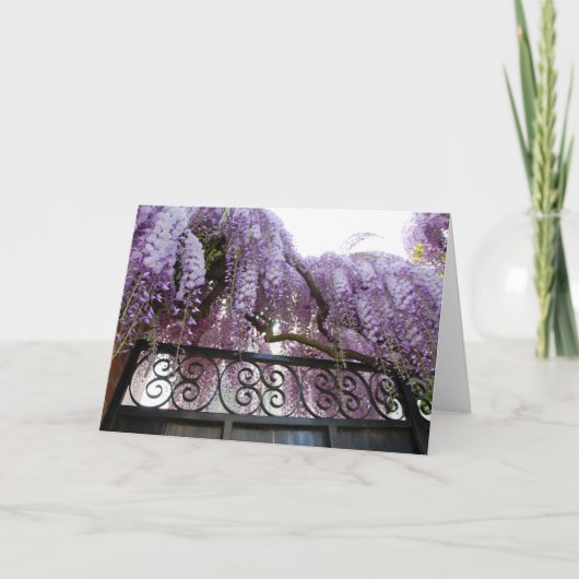 Carte Glycines (Devant)