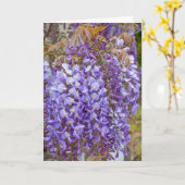 Carte glycines pourpres (Fleur jaune)