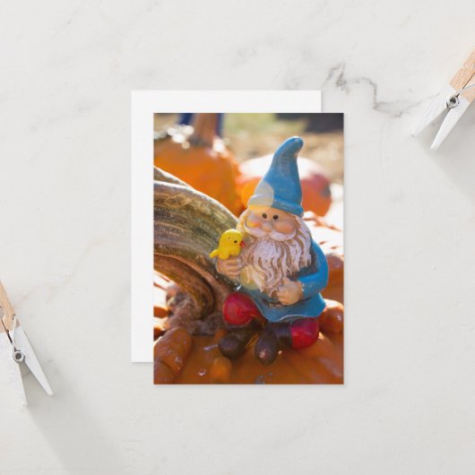 Carte Gnome II (Devant/Arrière en situation)