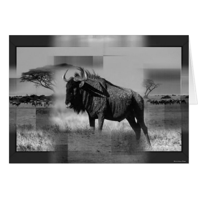 Carte Gnu (Devant horizontal)