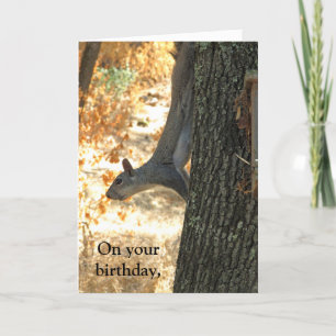 Carte Go Crazy Funny Squirrél Birthday Card